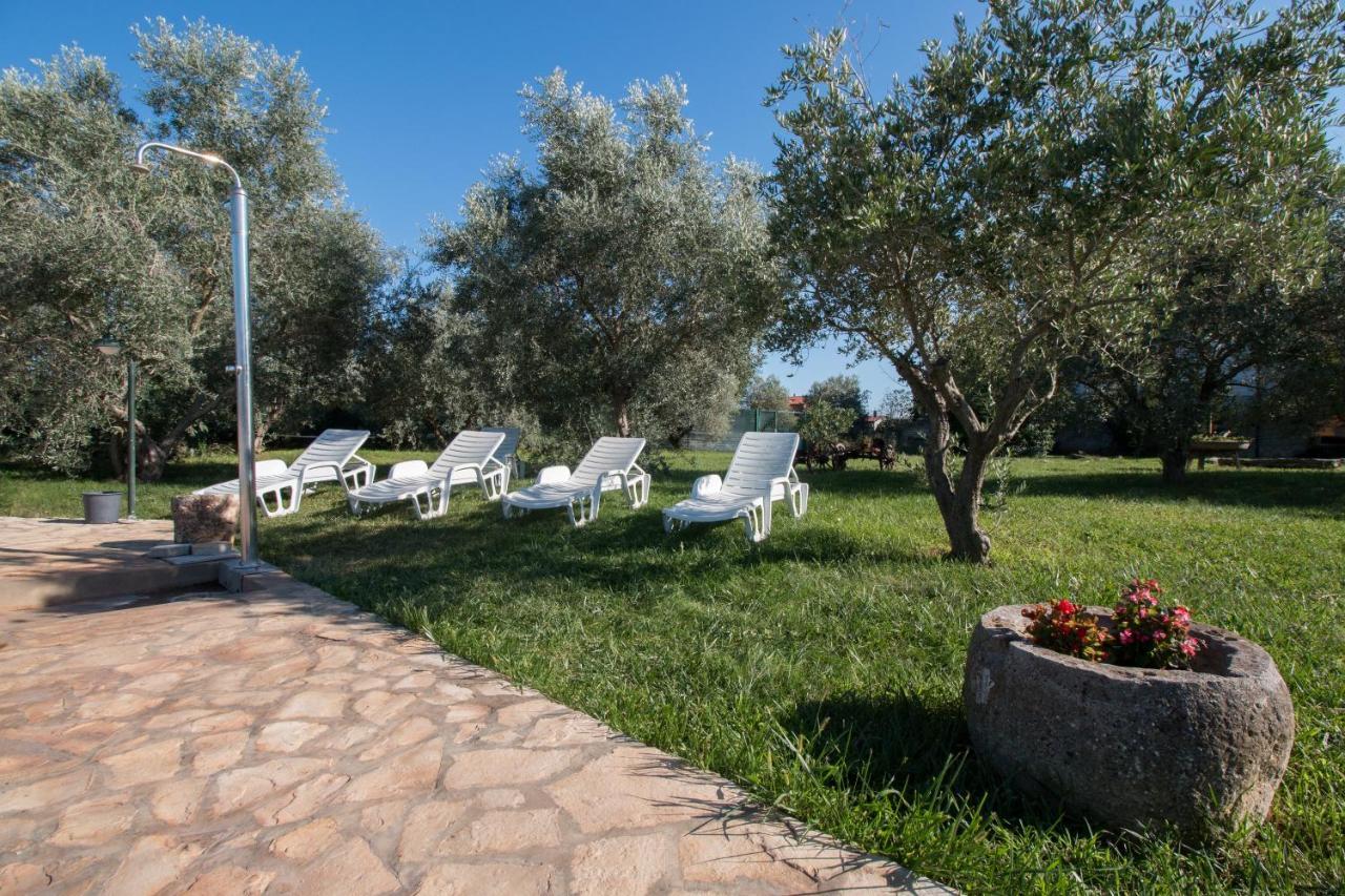 Wine House Apartments & Rooms Marceta Fažana エクステリア 写真